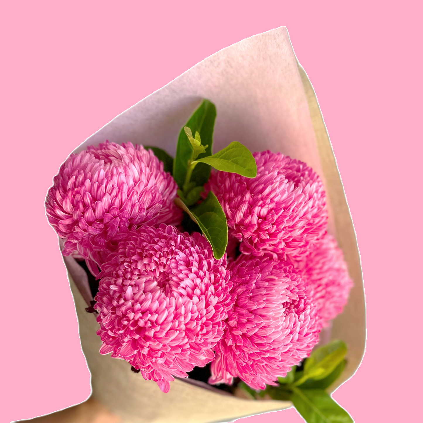 Bella's Fresh Picks - Marvelous Mums