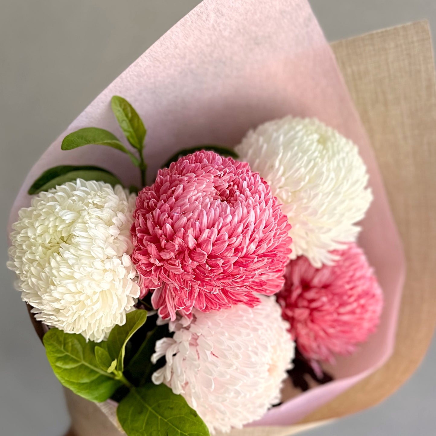 Bella's Fresh Picks - Marvelous Mums