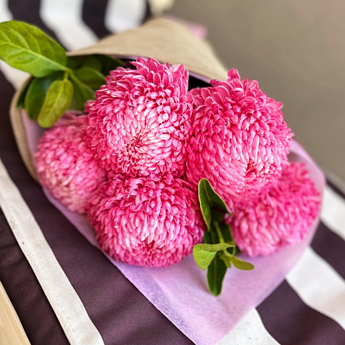 Bella's Fresh Picks - Marvelous Mums