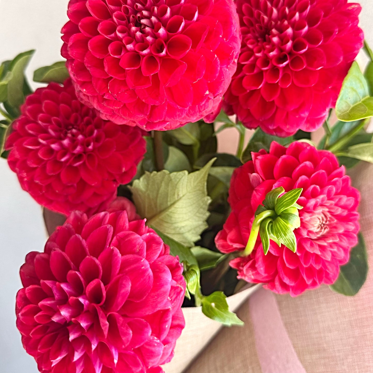 Bella's Fresh Picks - Dahlia's