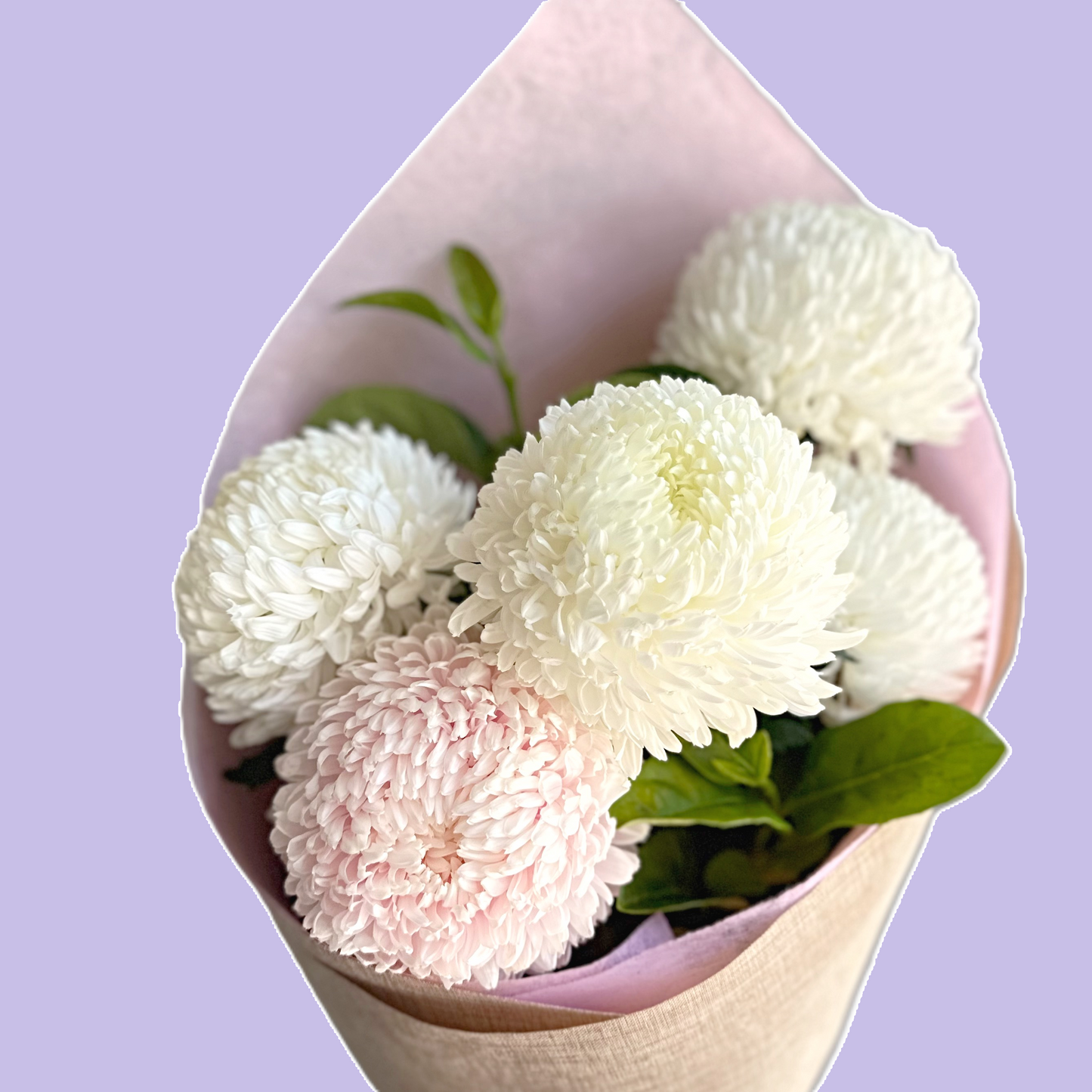 Bella's Fresh Picks - Marvelous Mums