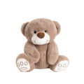 Plush Bear